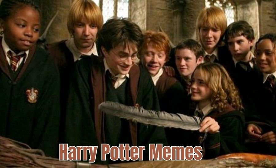 Harry Potter memes