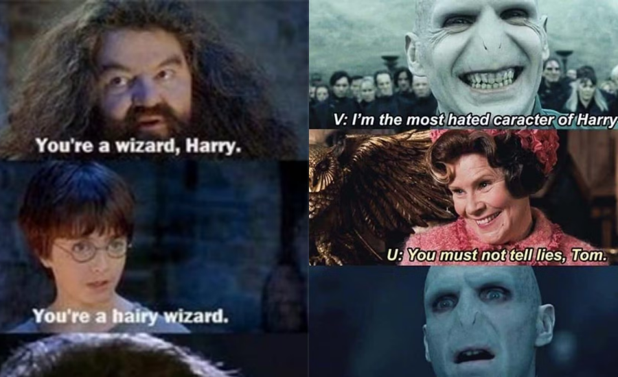 Harry Potter memes 